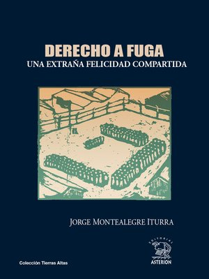 cover image of Derecho a fuga